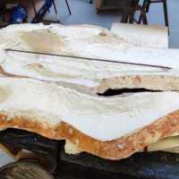 WhatsApp-Image-2026-01-20-at-13.02.54