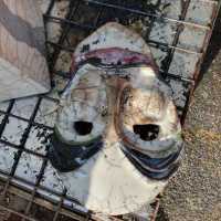 WhatsApp-Image-2025-04-30-at-20.35.562