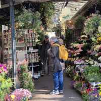 WhatsApp-Image-2026-03-19-at-19.16.55