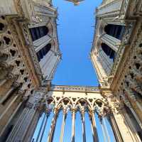 WhatsApp-Image-2026-03-19-at-19.17.31