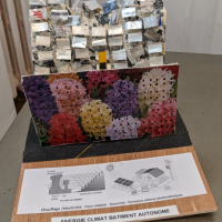 PXL_20221217_140954511