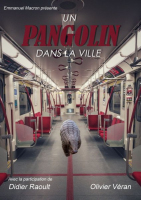 Un-pangolin-dans-la-ville-Nina-MOREAU