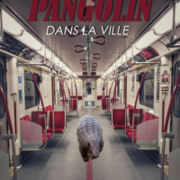 Un-pangolin-dans-la-ville-Nina-MOREAU