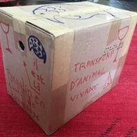 received_637976086934452